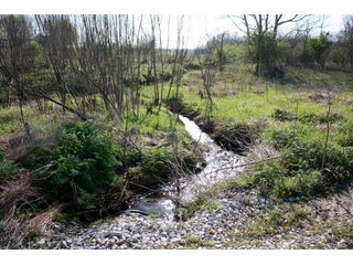Property photo 13 - REAL ESTATE AUCTION - 486+/- ACRES OFFERED IN 9 TRACTS IN MORGAN & MARION COUNTIES, INDIANA